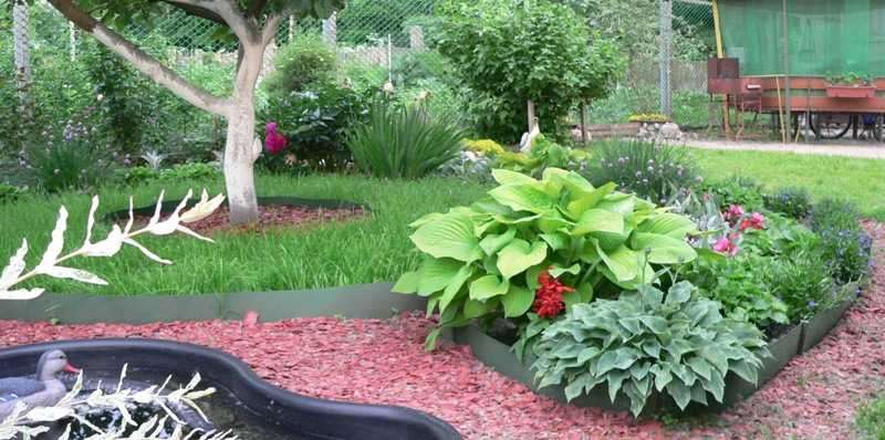 Как установить бордюрную ленту на грядках: красивое обрамление садовых грядок