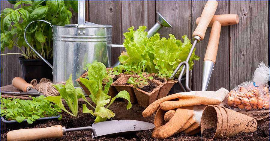 Полезные советы огородников и садоводов для лучшего урожая